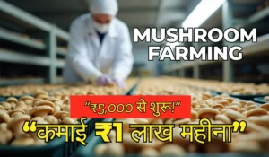 Indoor Mushroom Farming